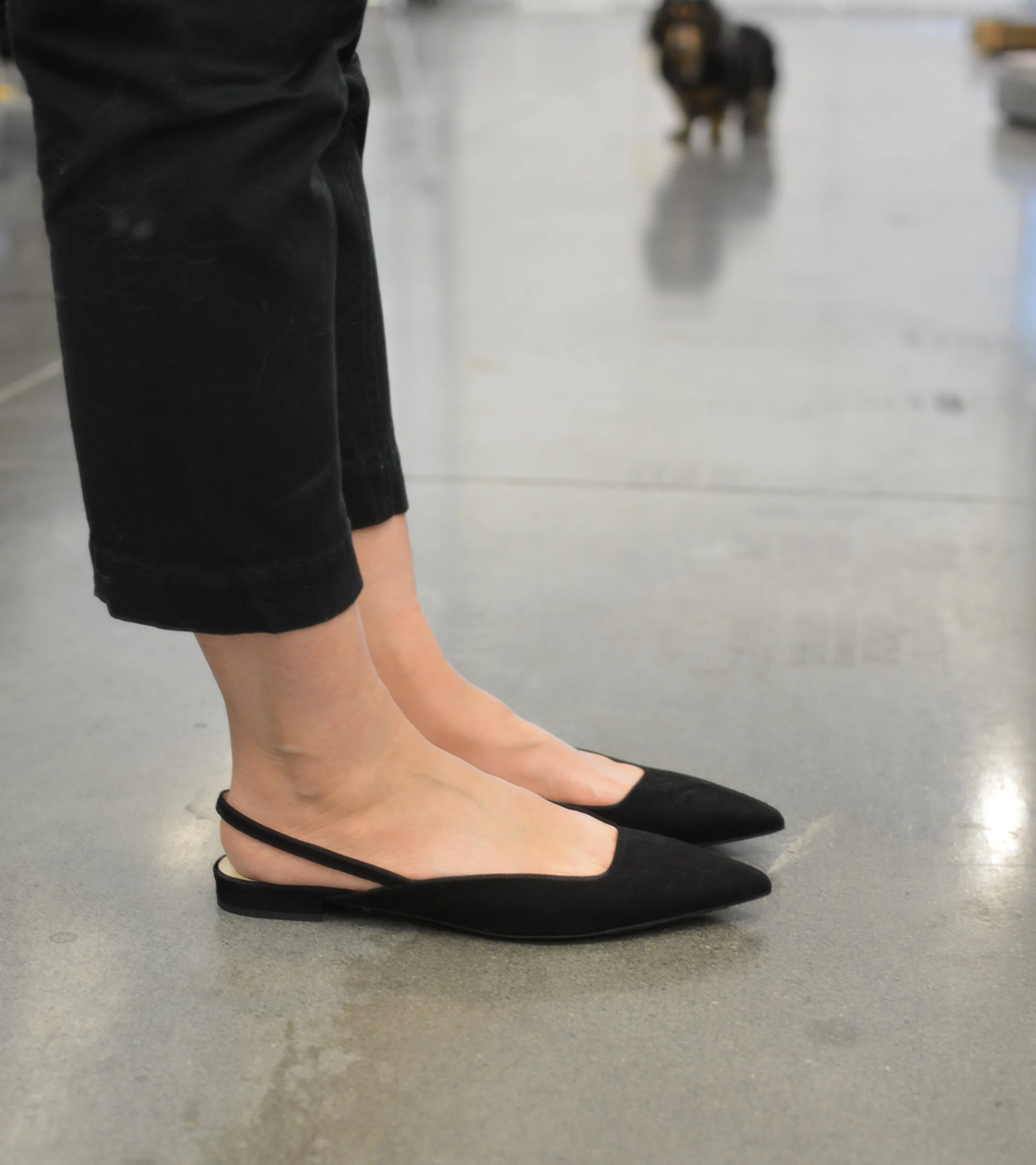 Everlane Review The Editor Slingbacks Fairly Curated